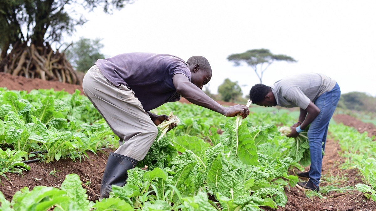 Field Visit: Climate-Smart Agriculture in Action
